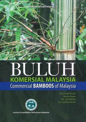 Buluh Komersial Malaysia FSP 30